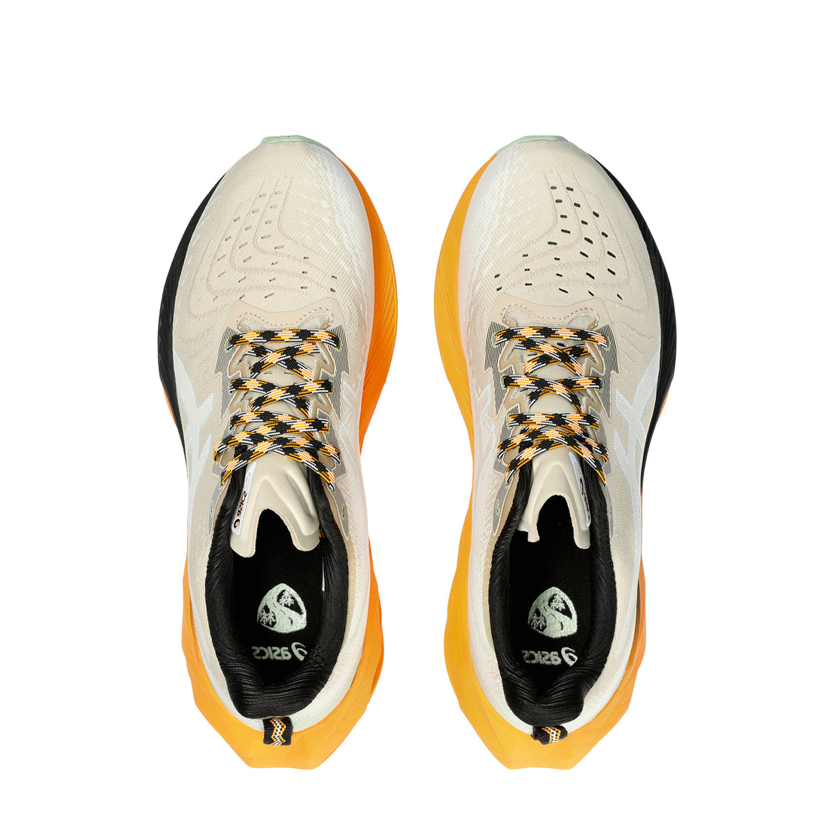 Asics Novablast 4 TR Nature Bathing/Fellow Yellow